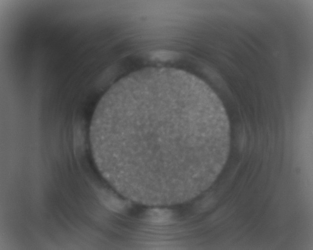 X0000081310328200702082117