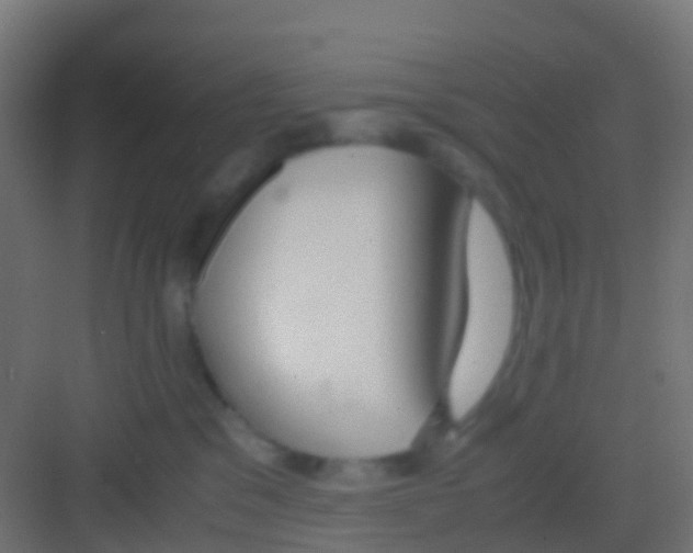 X0000081310329200702082117