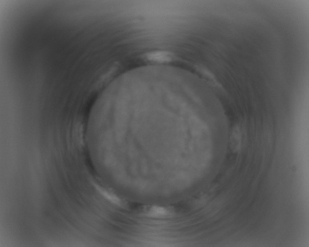 X0000081310330200702082117