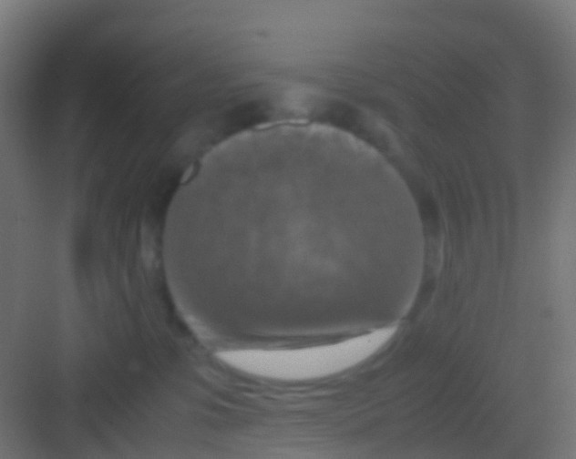 X0000081310331200702082117