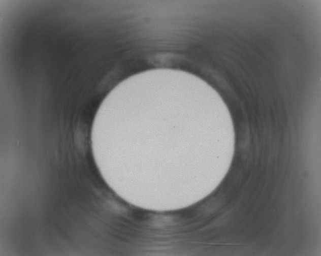 X0000081310332200702082117