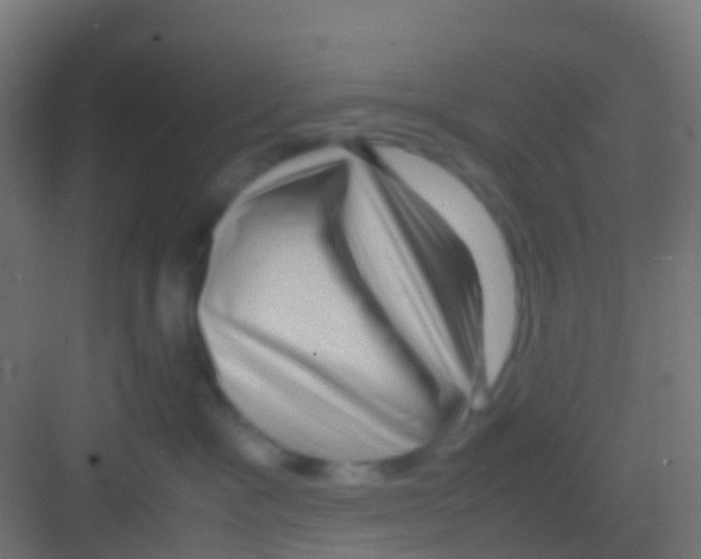 X0000081310333200702082117