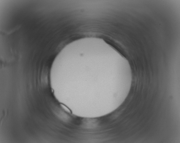 X0000081310334200702082117