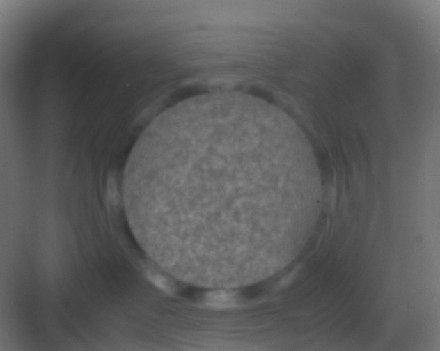 X0000081310335200702082117