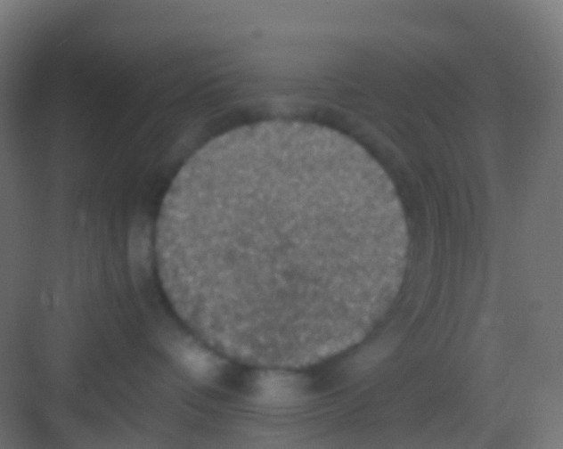 X0000081310336200702082117