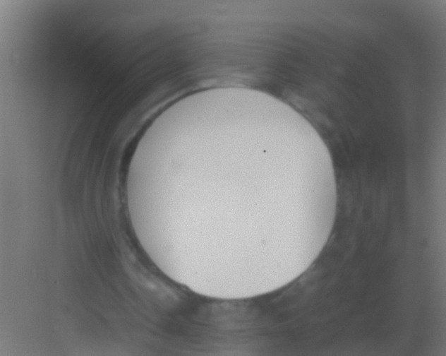 X0000081310338200702082116