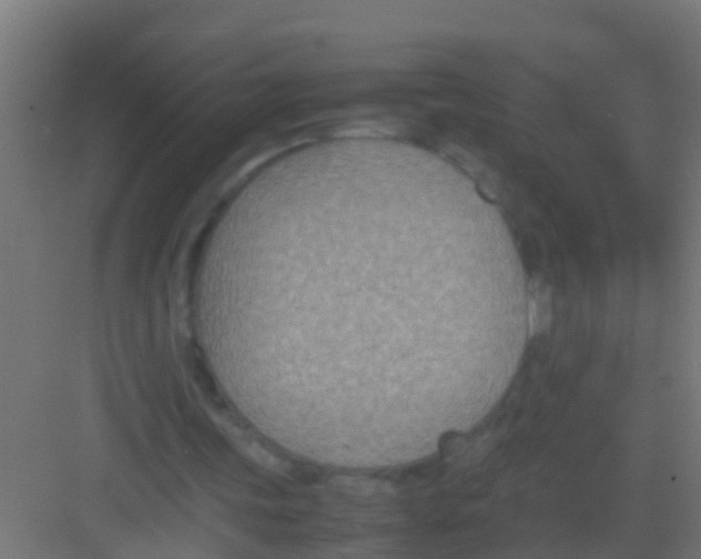 X0000081310339200702082116