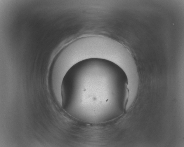 X0000081310340200702082116