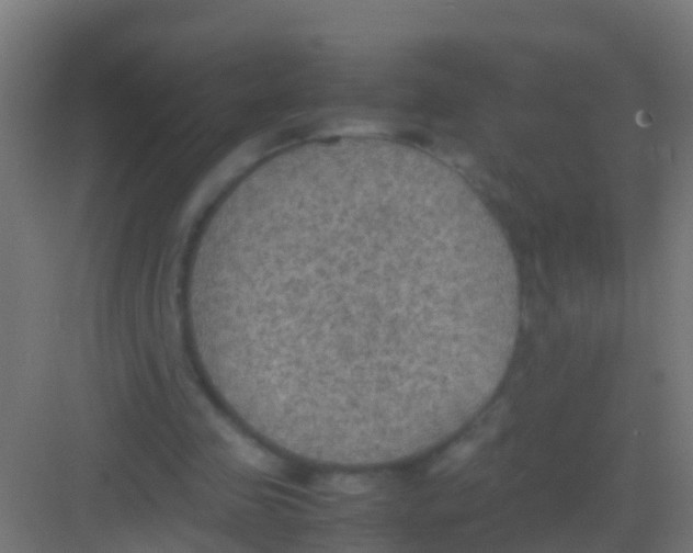 X0000081310341200702082116