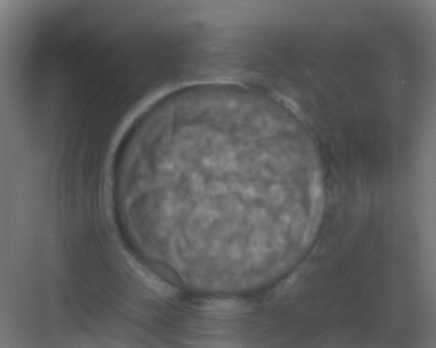 X0000081310342200702082116