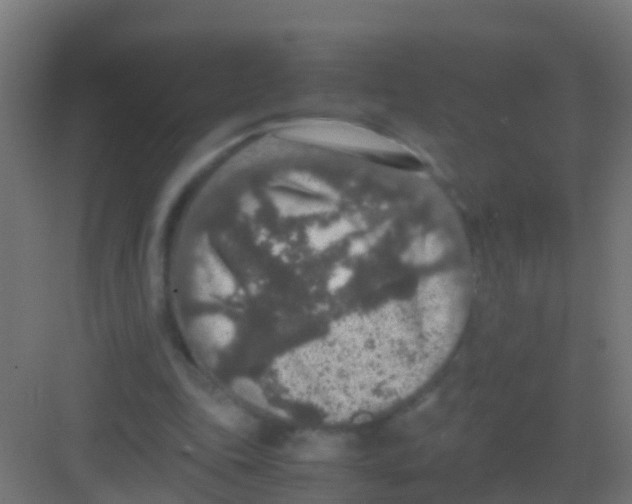 X0000081310343200702082116