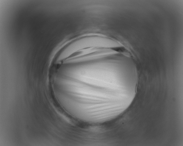 X0000081310344200702082116