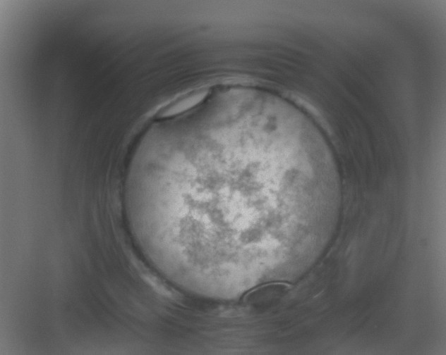 X0000081310345200702082116