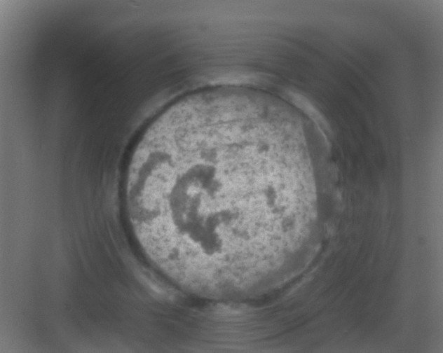 X0000081310346200702082116