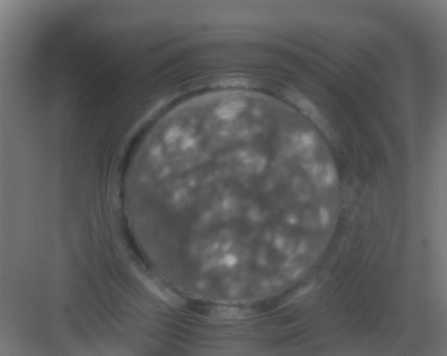 X0000081310347200702082116