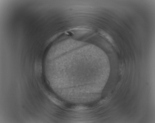 X0000081310348200702082116