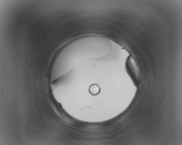 X0000081310349200702082116