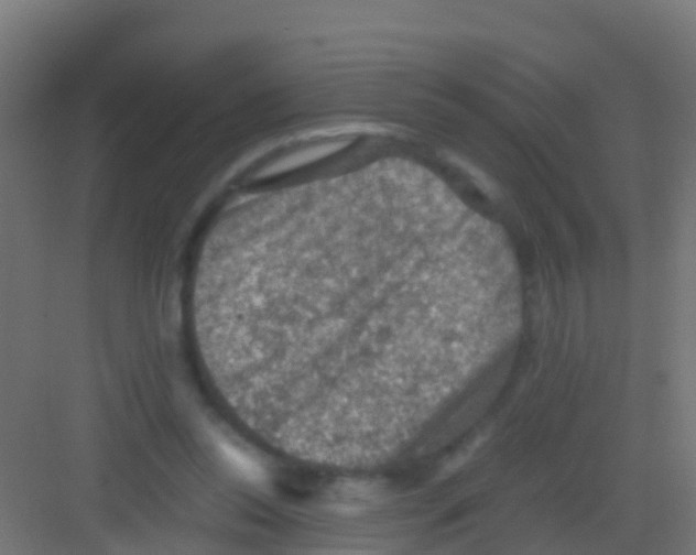 X0000081310350200702082116