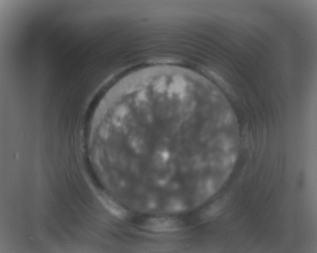 X0000081310351200702082116