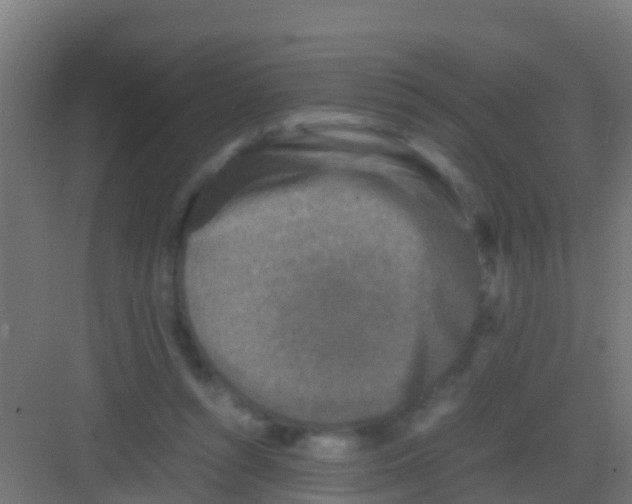 X0000081310352200702082116