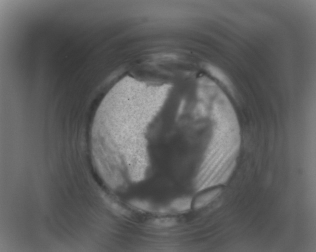 X0000081310353200702082116