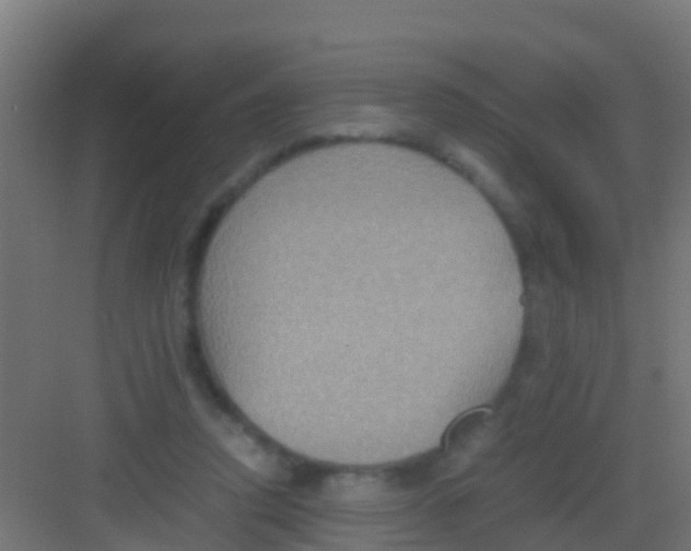 X0000081310354200702082116