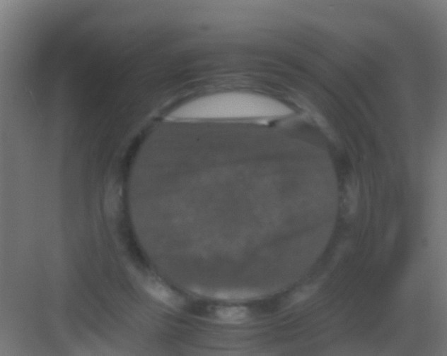 X0000081310355200702082116