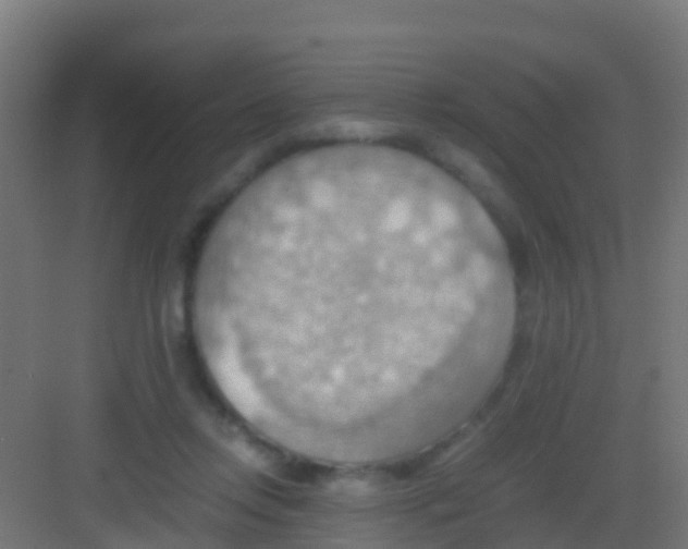 X0000081310358200702082116