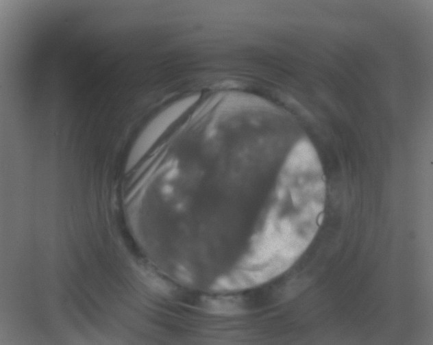 X0000081310359200702082116