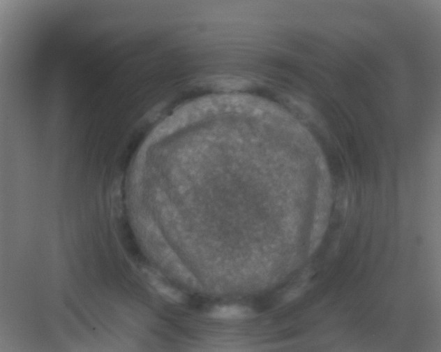 X0000081310360200702082116