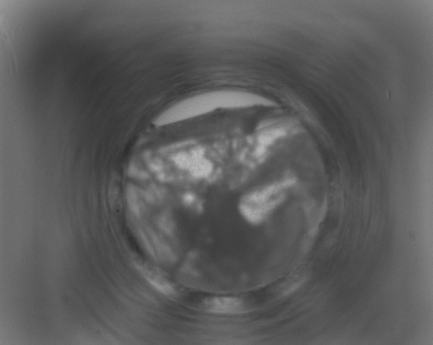 X0000081310361200702082116