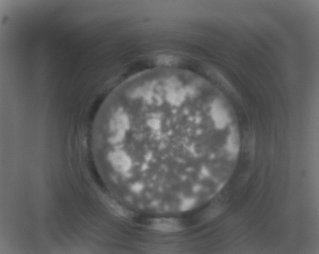 X0000081310363200702082116