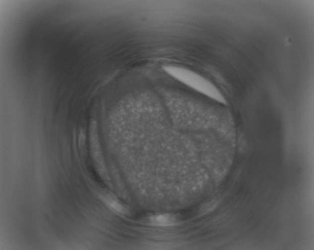 X0000081310365200702082116