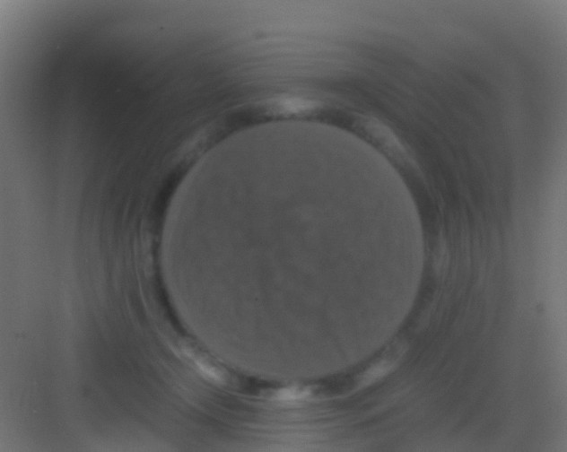 X0000081310366200702082116