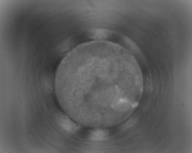 X0000081310370200702082116