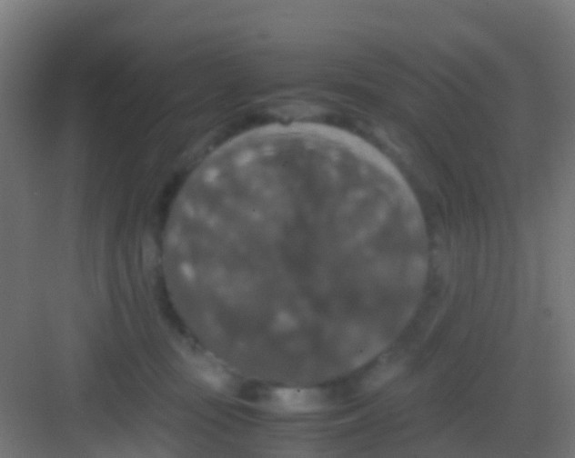 X0000081310371200702082116