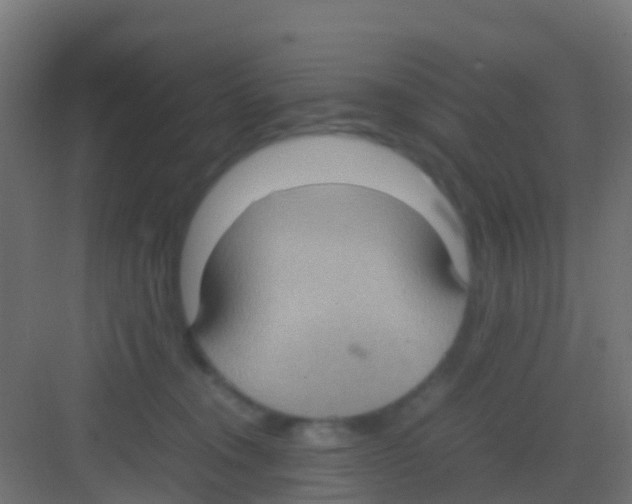 X0000081310372200702082116