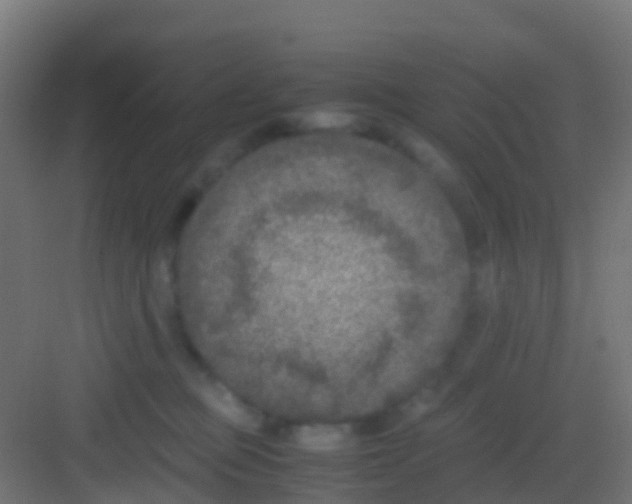 X0000081310373200702082116