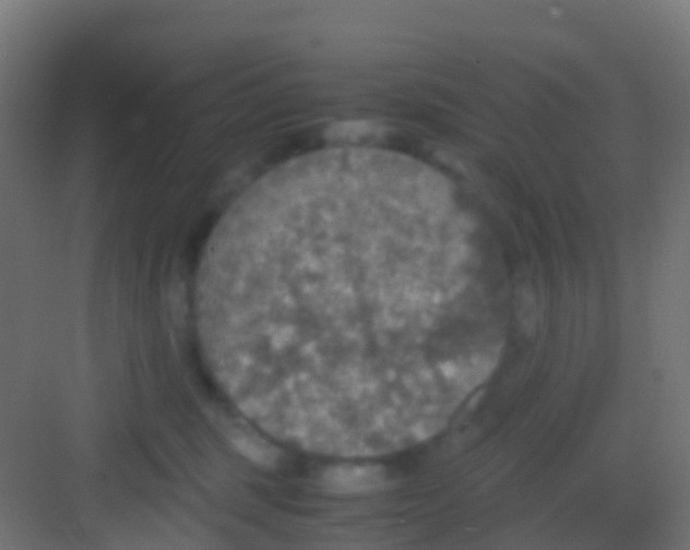 X0000081310375200702082116