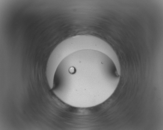 X0000081310376200702082116