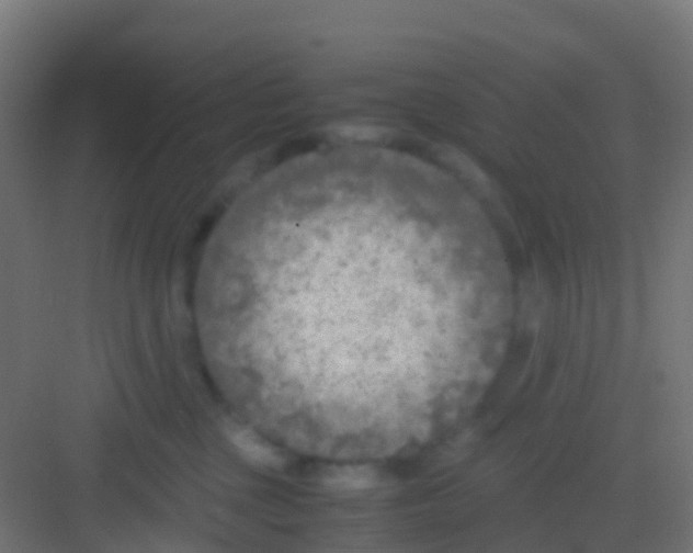 X0000081310377200702082116