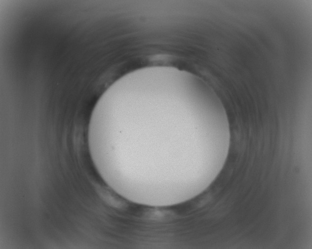 X0000081310379200702082116