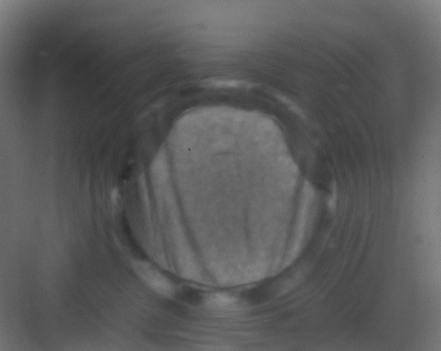 X0000081310380200702082116