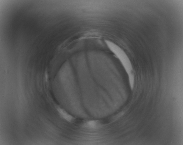 X0000081310382200702082116