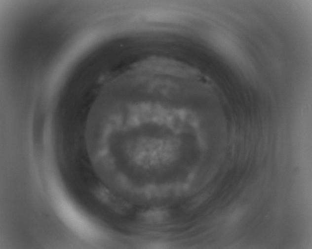 X0000081310383200702082117