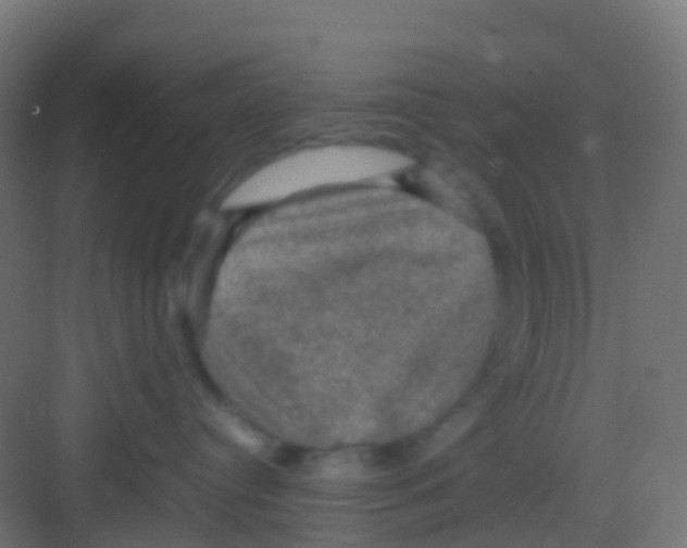 X0000081310384200702082117