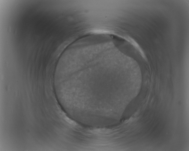 X0000081310385200702082116