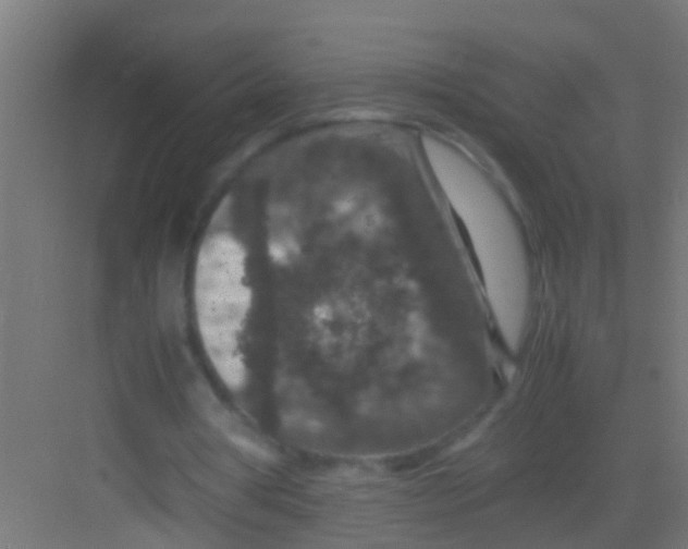 X0000081310386200702082116