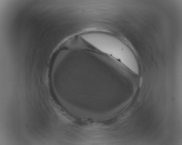 X0000081310387200702082116