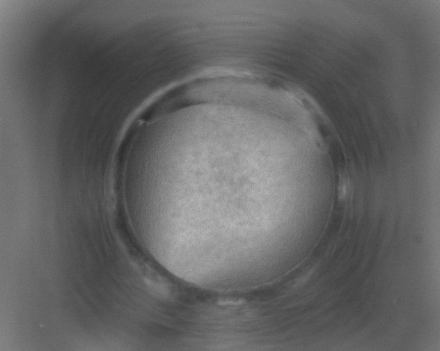 X0000081310388200702082116